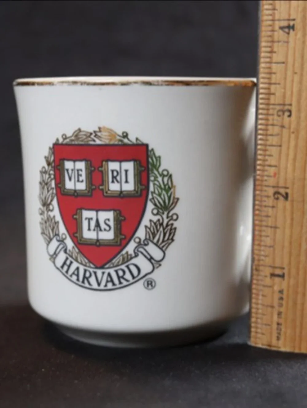 Vintage Harvard University Ve Ri Tas Crest Gold Rimmed Coffee/Tea Cup